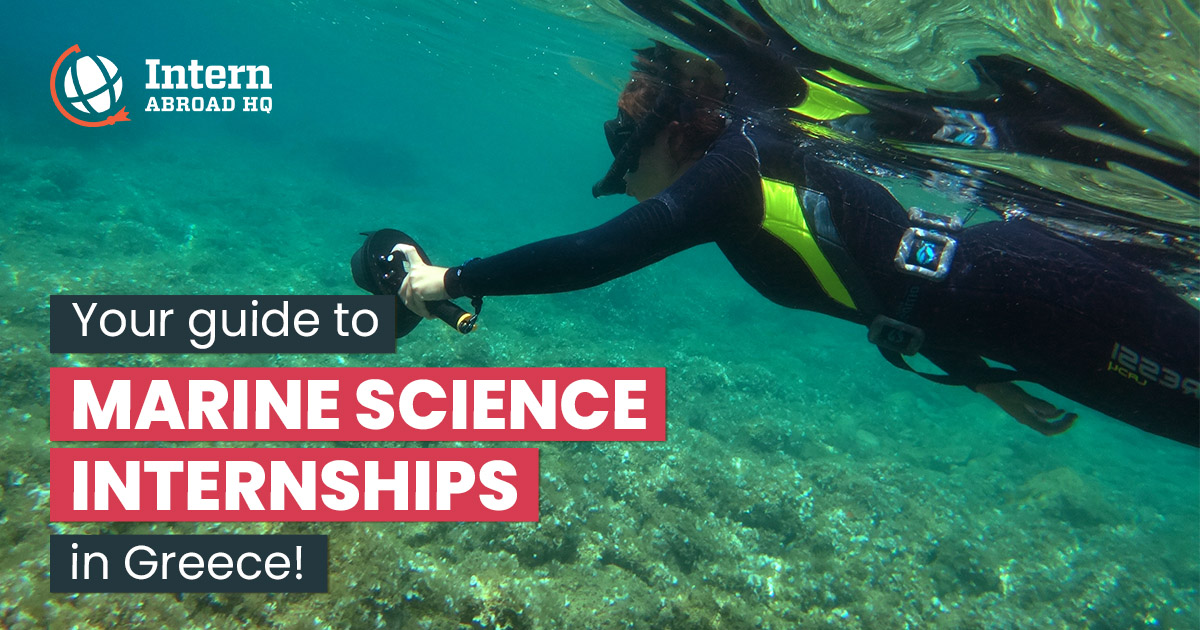 Your guide to Marine Science internships in Greece Intern Abroad HQ